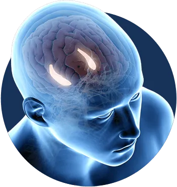 Billionaire Brain Wave glowing brain artwork representing the 7-minute morning audio ritual